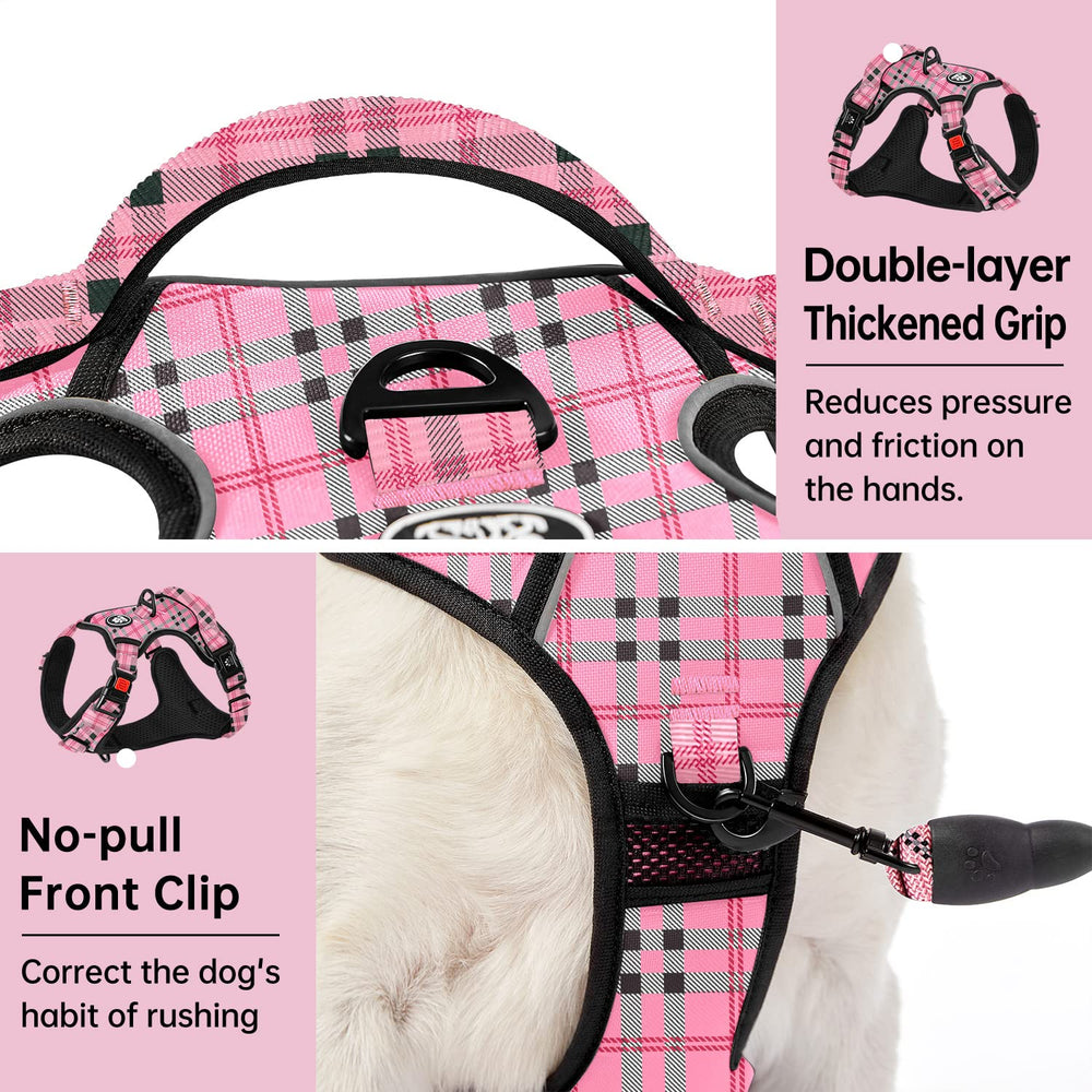 IVY&LANE dog harness reflective detailing for low-light visibility.