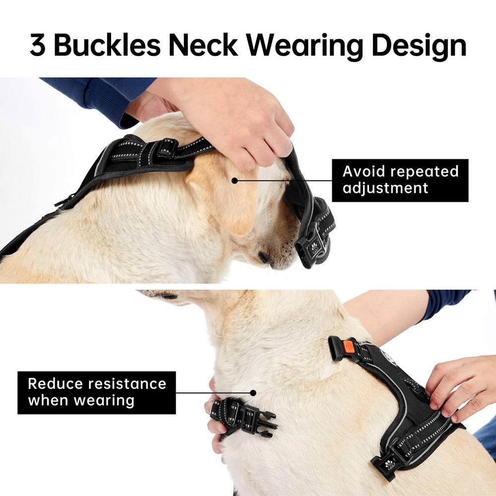 IVY&LANE reflective dog harness and leash shown together.