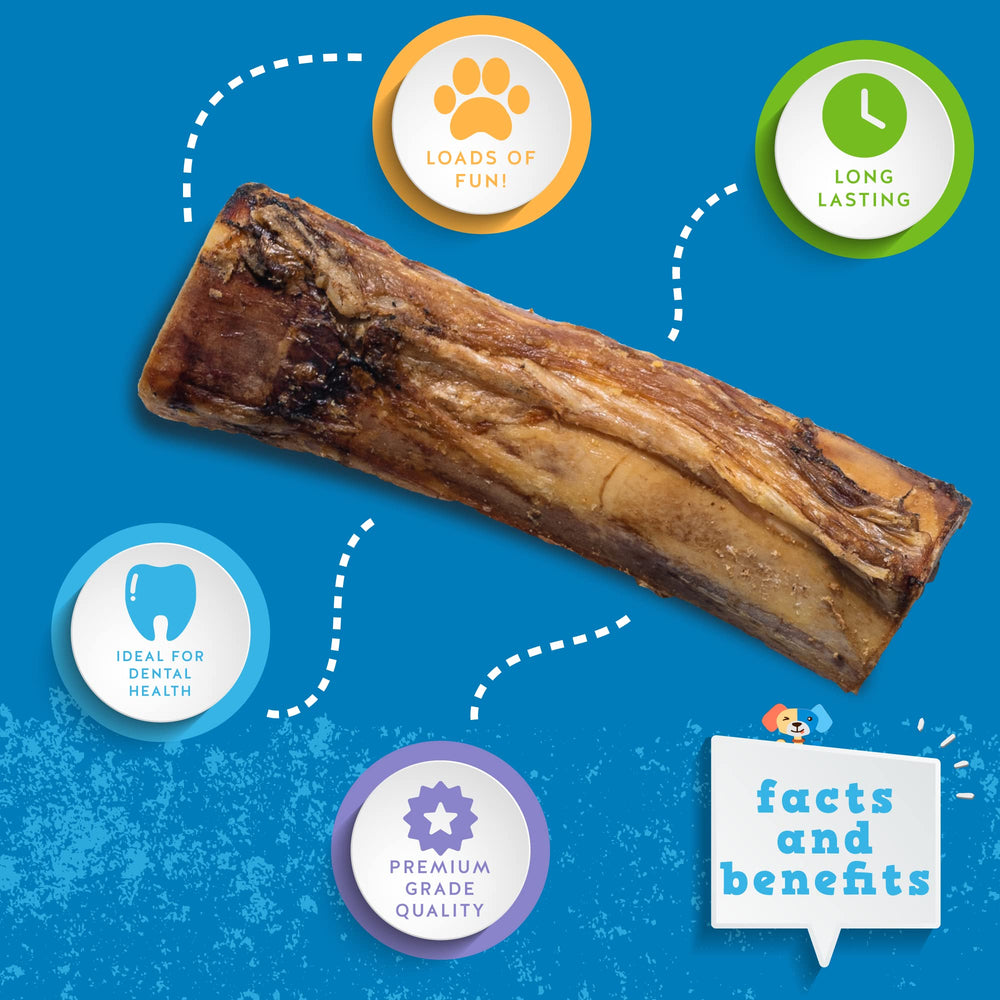 Jack&Pup Marrow Bones close-up showing the natural beef bone.