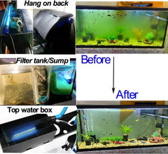 JackSuper algae clean light positioned in an aquarium filter area.