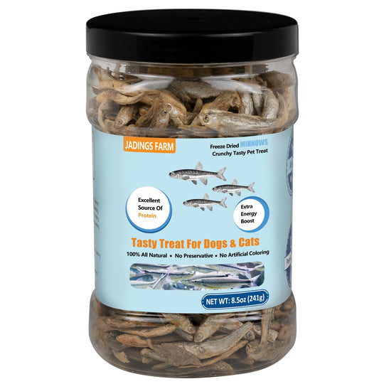 JADINGSFARM Minnows freeze-dried cat and dog treat can shown from the front.