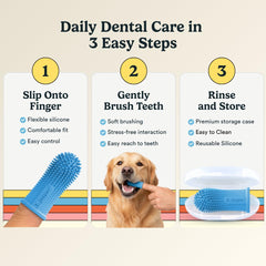 Jasper Dog Toothbrush being used during a cat's dental-care routine.