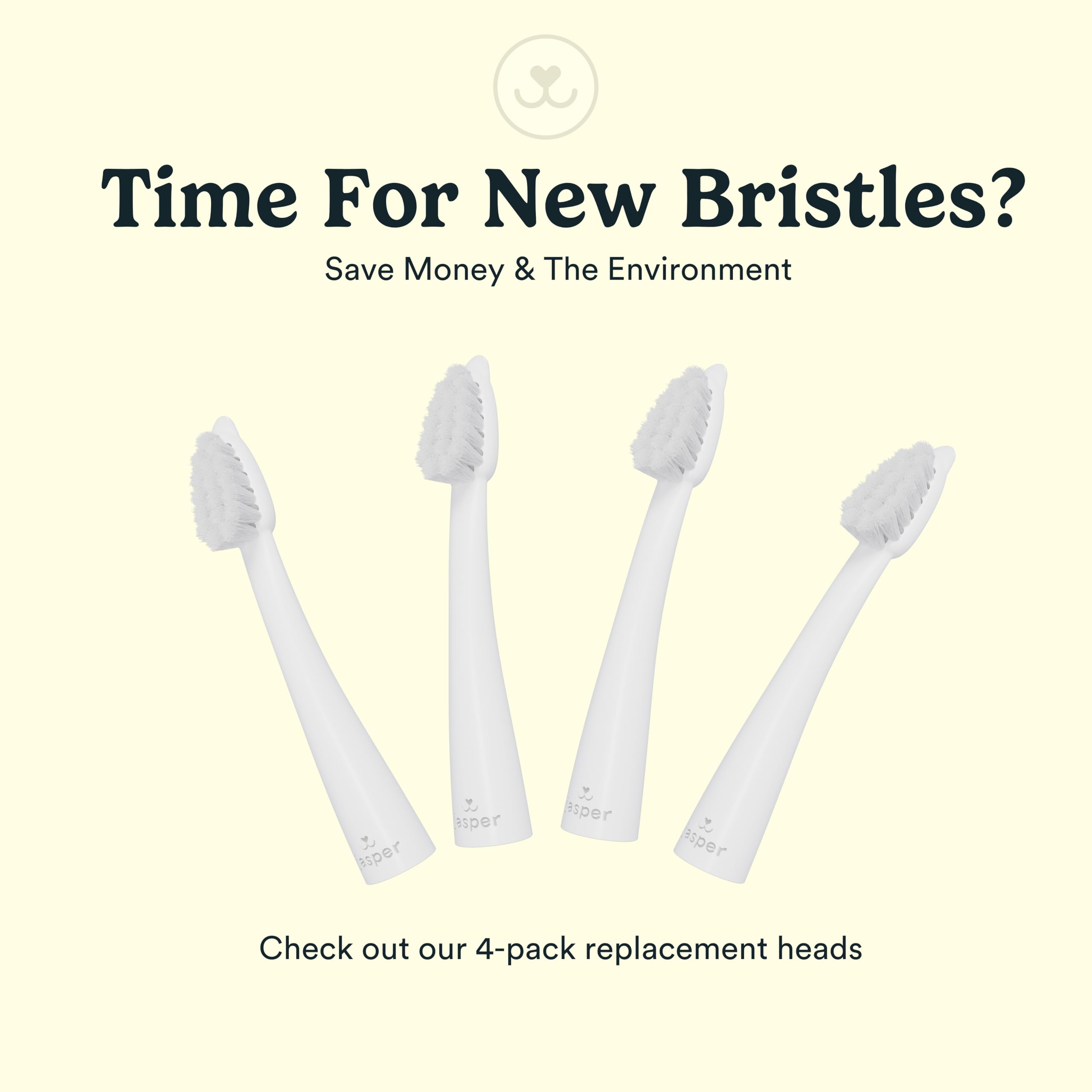 Jasper Microbrush cat toothbrush blue 4-pack view.