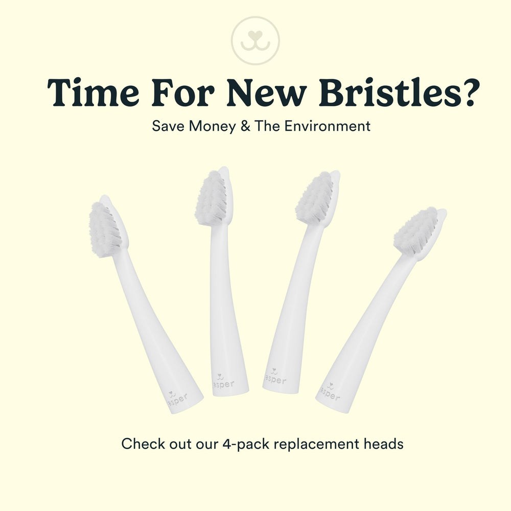 Jasper Microbrush cat toothbrush blue 4-pack view.