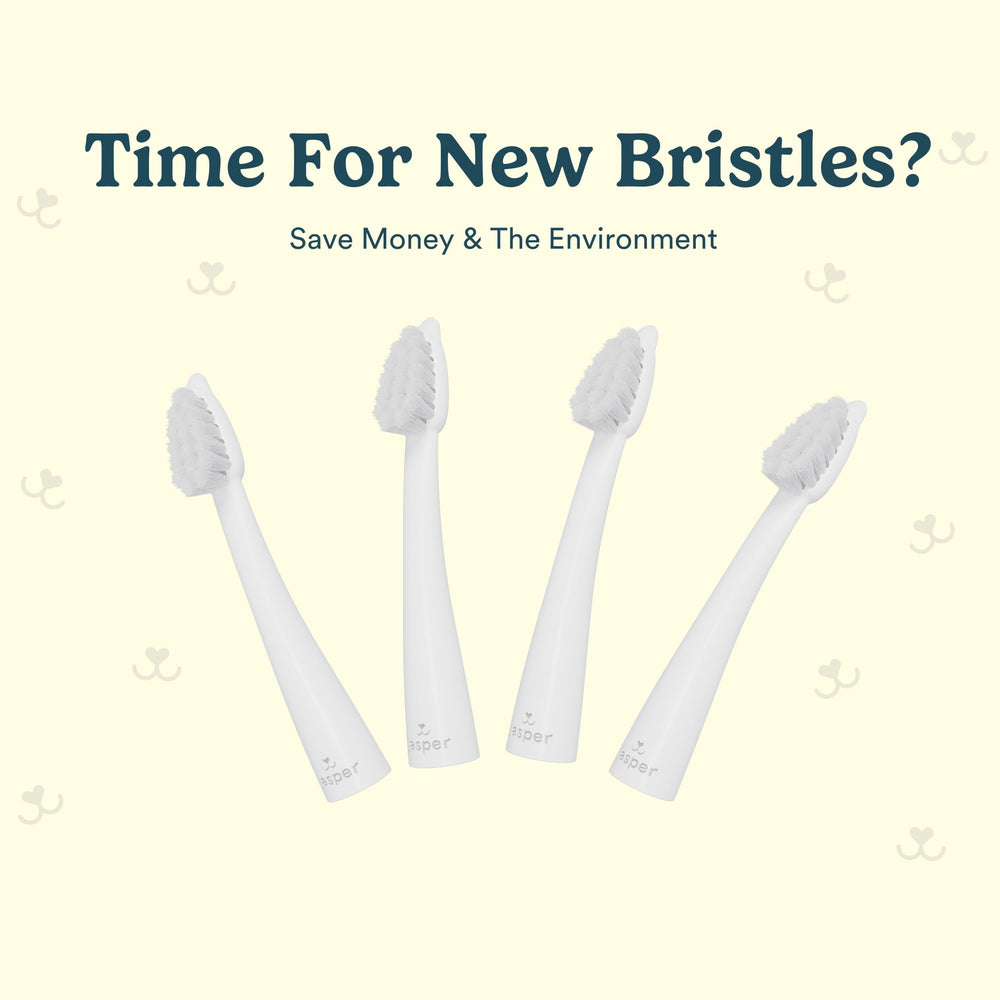 Narrow brush head profile of Jasper Microbrush cat toothbrush replacement heads.