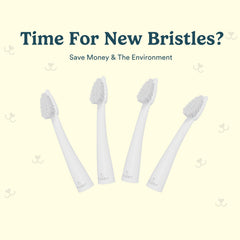 Narrow brush head profile of Jasper Microbrush cat toothbrush replacement heads.