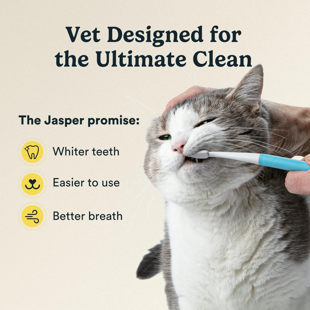 Jasper Microbrush cat toothbrush close-up of its soft bristles.