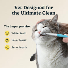 Jasper Microbrush cat toothbrush close-up of its soft bristles.