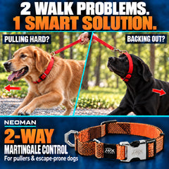 JAX PLANET martingale dog collar with a close view of its silver quick-release buckle.