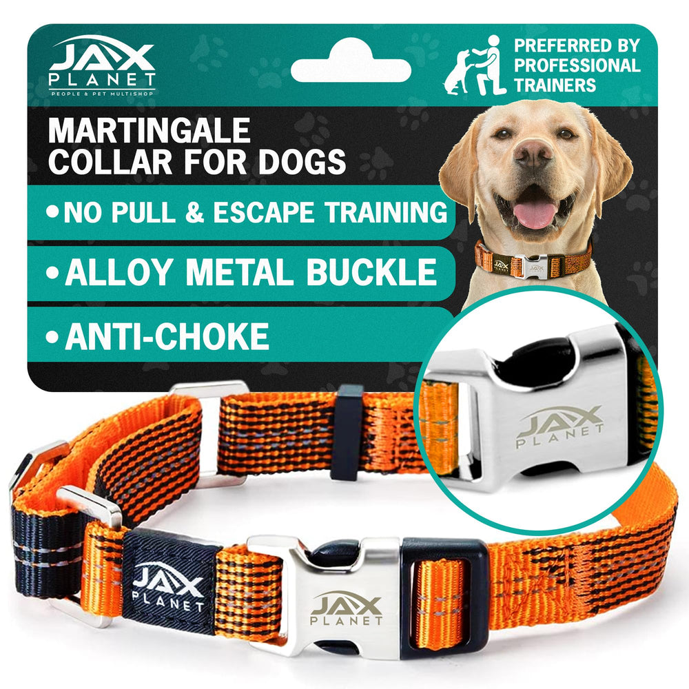 JAX PLANET martingale dog collar shown from the front in orange.