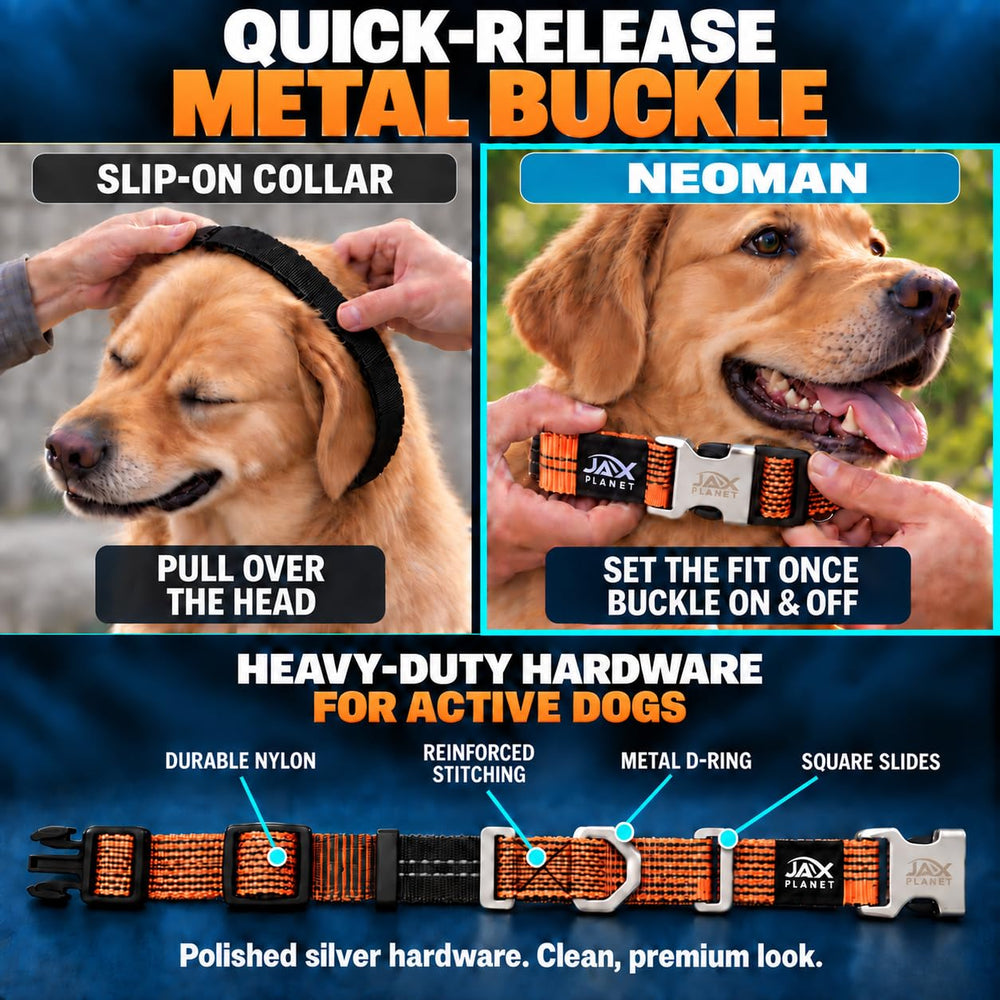 JAX PLANET martingale dog collar showing its nylon webbing and reinforced stitching.