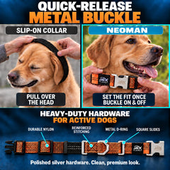 JAX PLANET martingale dog collar showing its nylon webbing and reinforced stitching.