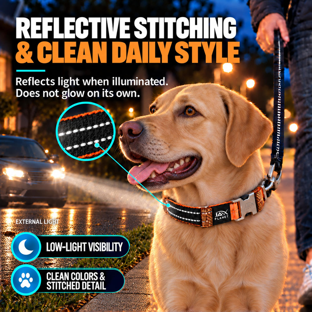 JAX PLANET martingale dog collar worn by a dog during a walk.
