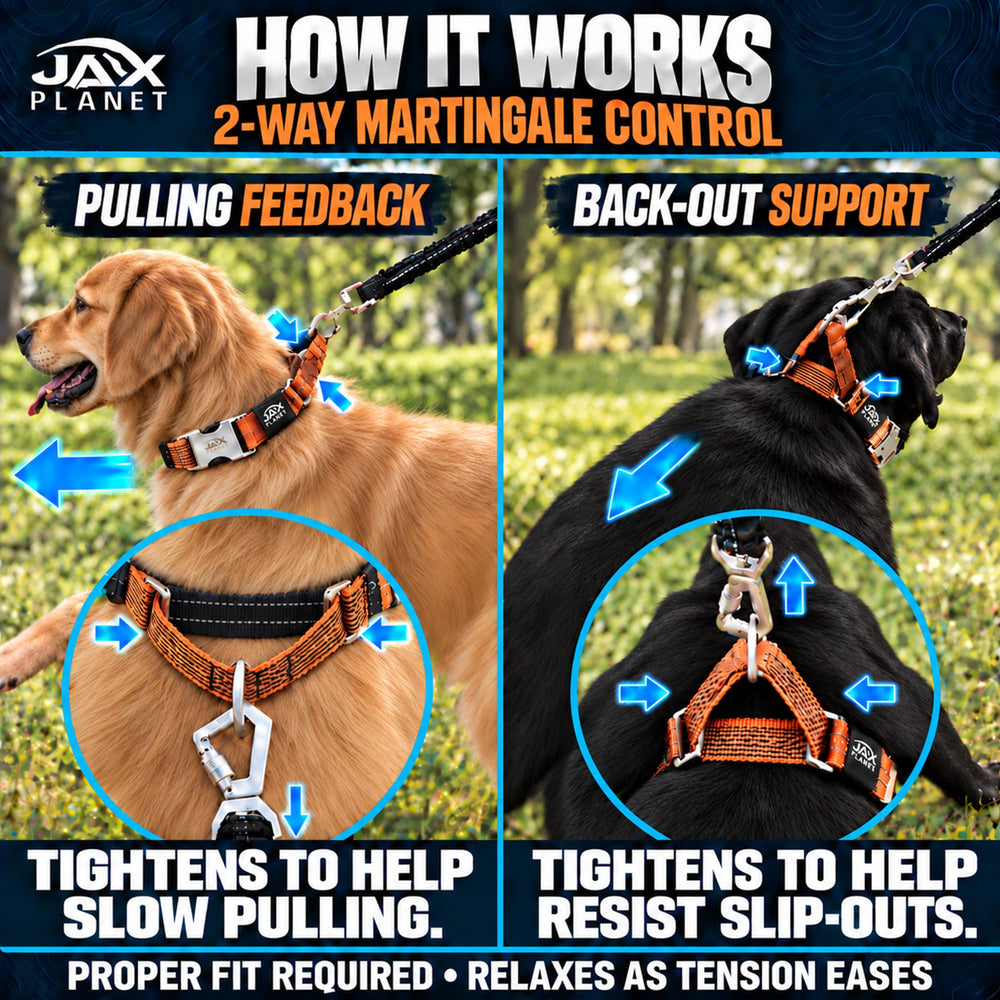 JAX PLANET martingale dog collar with reflective stitching shown in close-up.