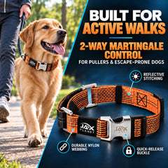 JAX PLANET martingale dog collar shown from a side angle.