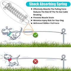 jenico Dog Tie Out Cable screw-lock carabiner connection close-up.