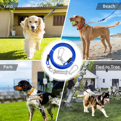 jenico Dog Tie Out Cable shown in supervised outdoor use.