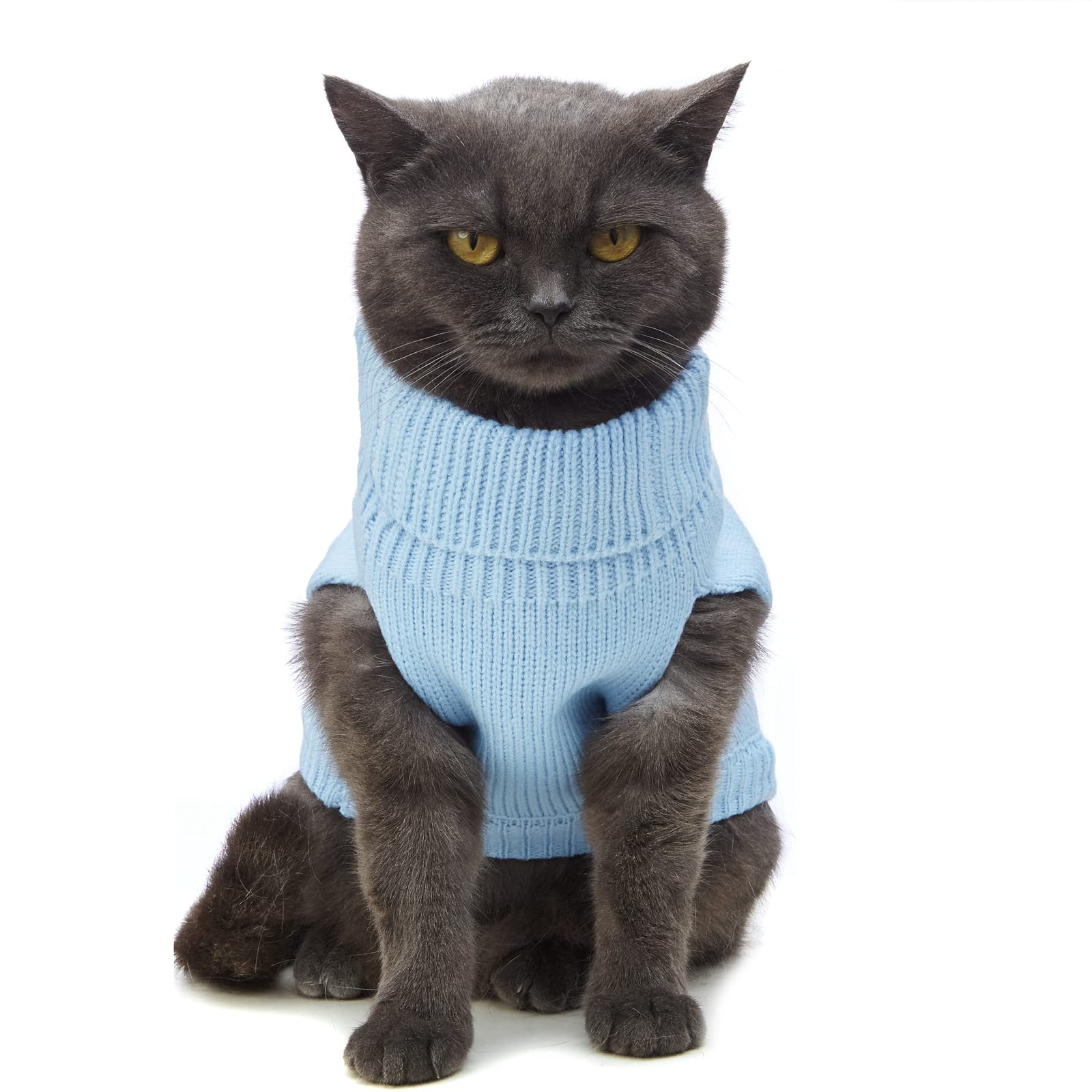 Jnancun cat sweater showing the flexible stretch-knit fabric.