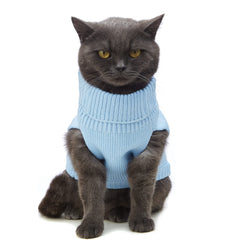 Jnancun cat sweater showing the flexible stretch-knit fabric.