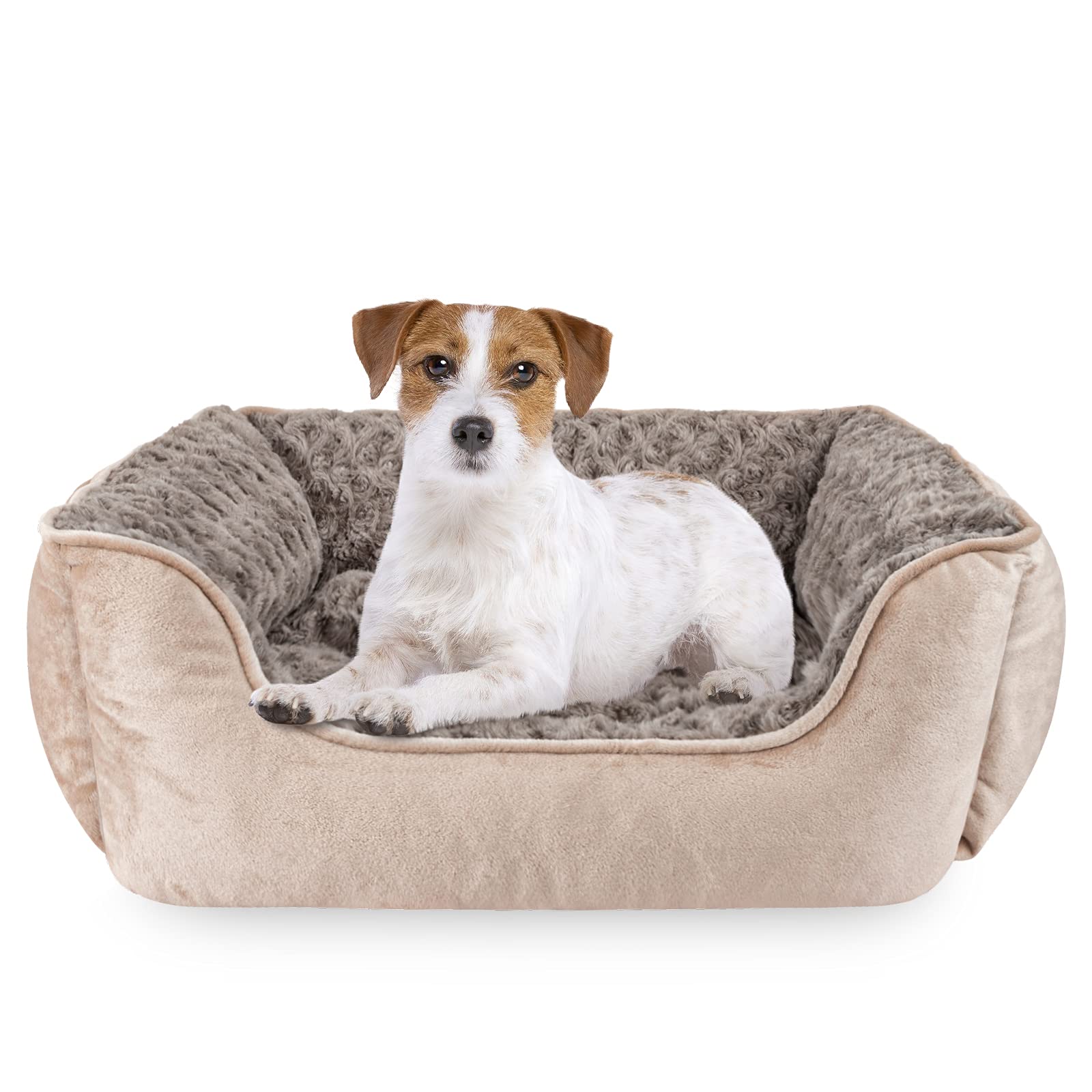 JOEJOY Rectangle Dog Bed shown from the front in beige with its raised sides.