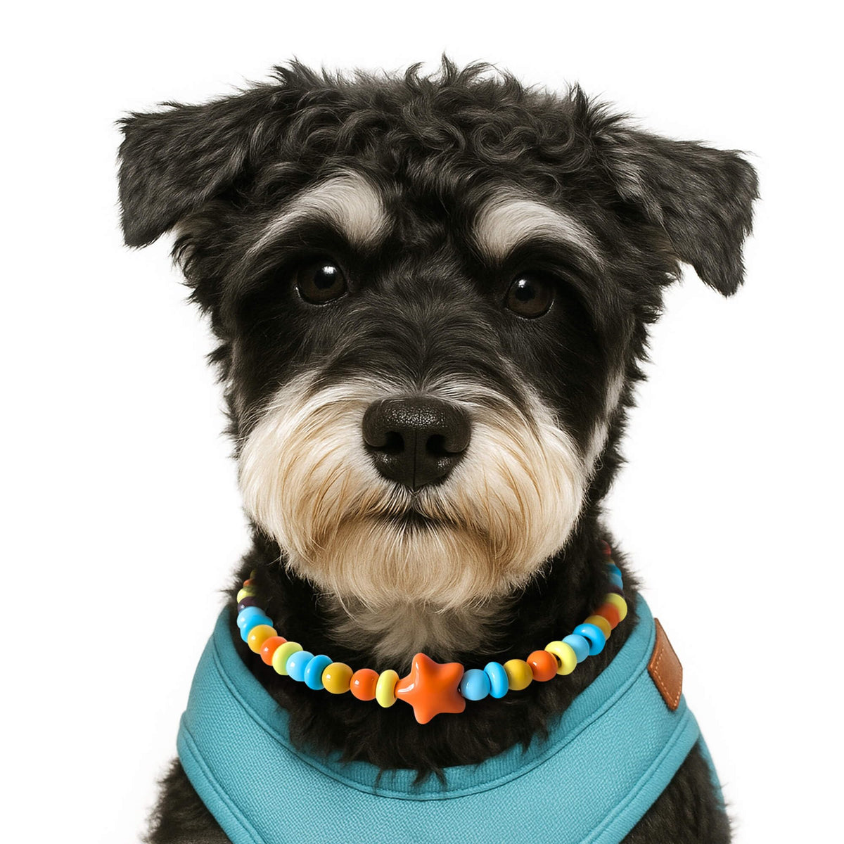JOGIA Dog Necklace Collar with Yellow Star Beads shown from the front.