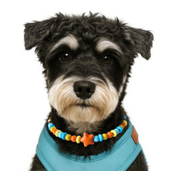 JOGIA Dog Necklace Collar with Yellow Star Beads shown from the front.