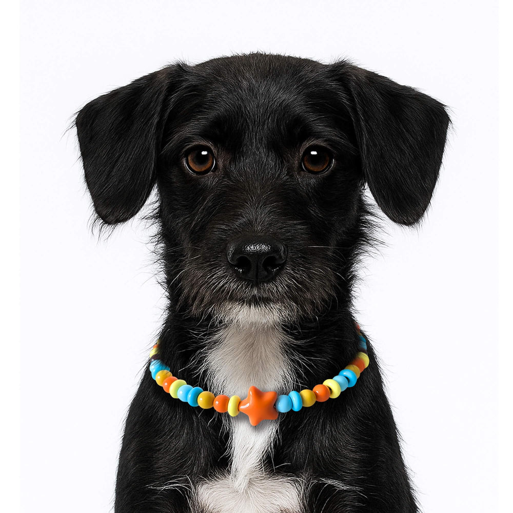 JOGIA Dog Necklace Collar worn by a dog as a decorative accessory.