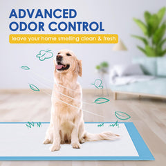 JollyMate dog pee pad shown in use for a pet potty-training routine.