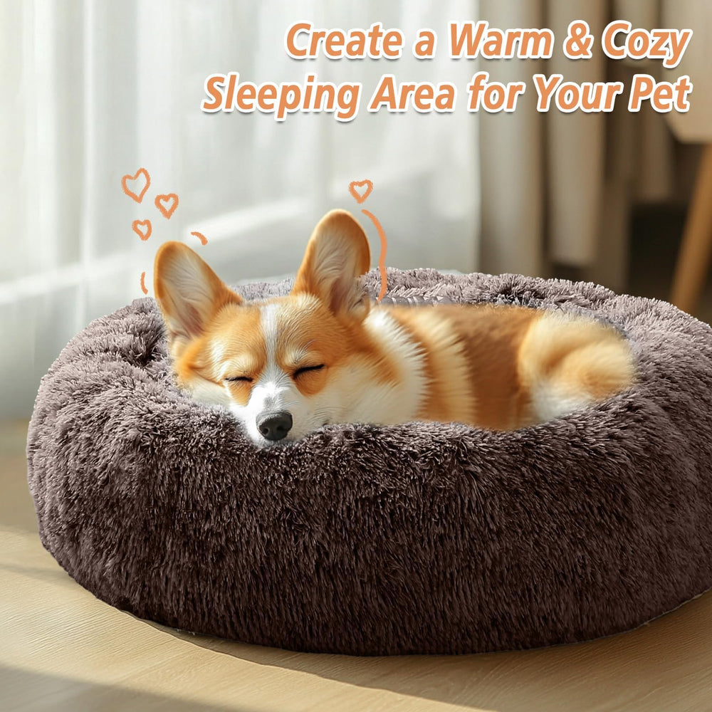 JOLLYVOGUE donut bed with a cat curled up in its center.