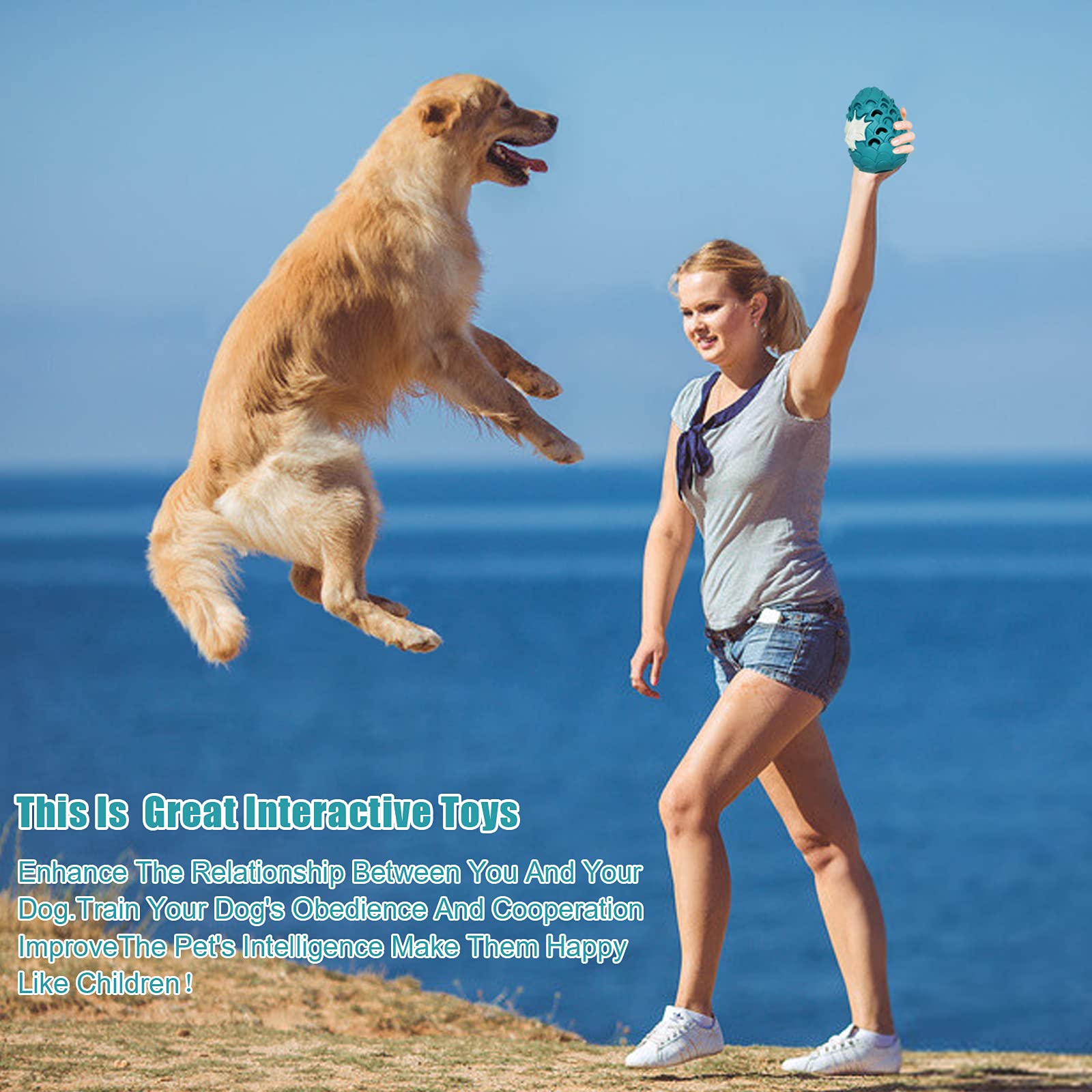 A dog playing fetch with the Jomilly Dragon Egg Dog Chew Toy.