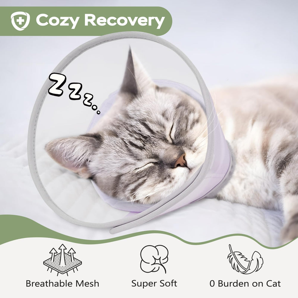 Joypig cat recovery cone shown on a cat while it drinks.