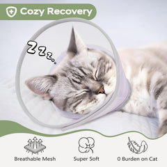 Joypig cat recovery cone shown on a cat while it drinks.