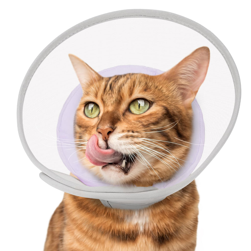 Joypig cat recovery cone shown from the front to display its cone-shaped design.