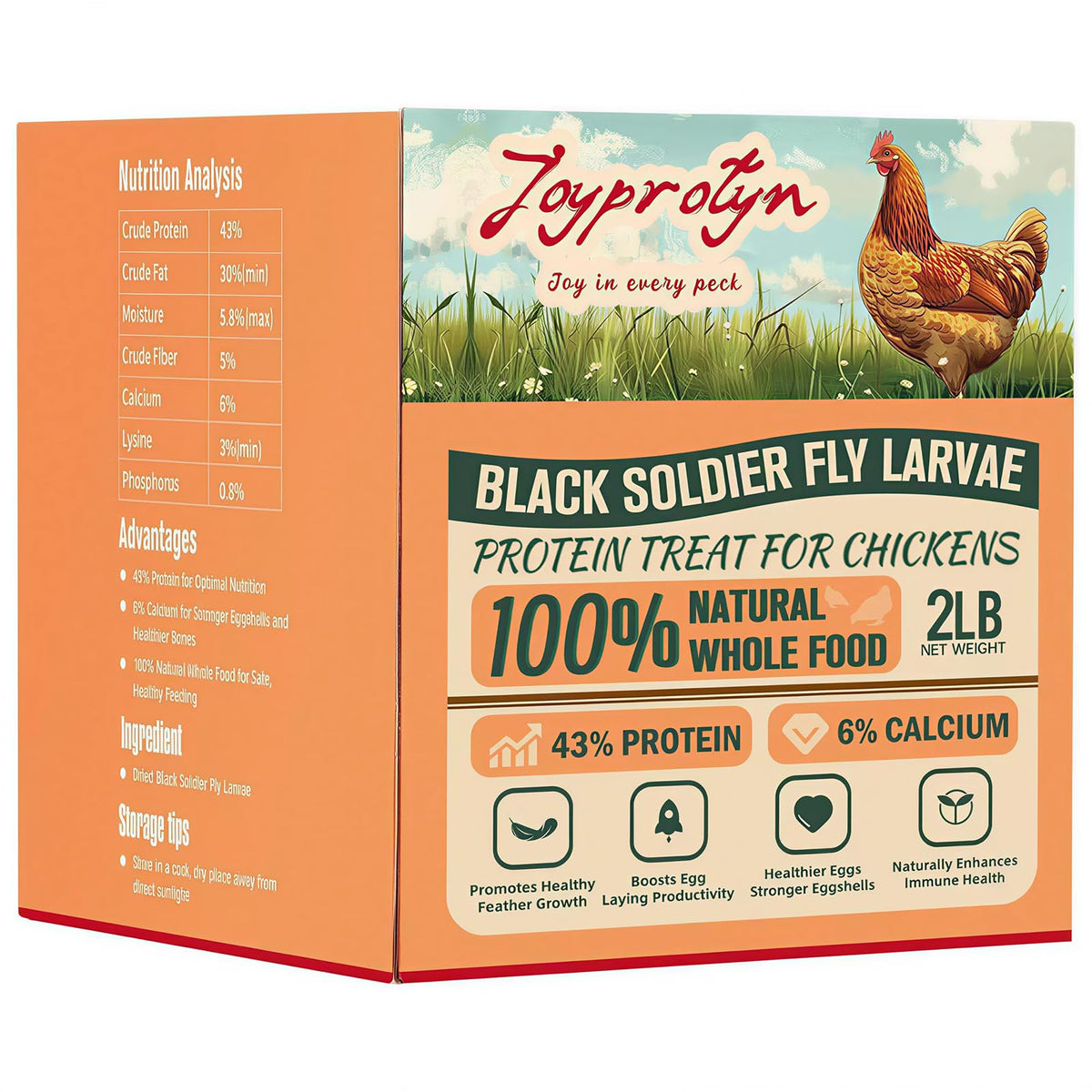 Joyprotyn dried black soldier fly larvae shown in a front product view.