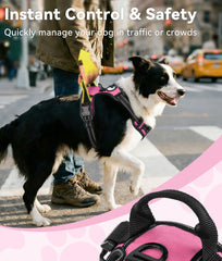 Joytale dog harness showing the back leash attachment ring.