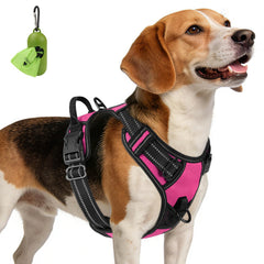 Joytale dog harness shown from the front in hot pink.