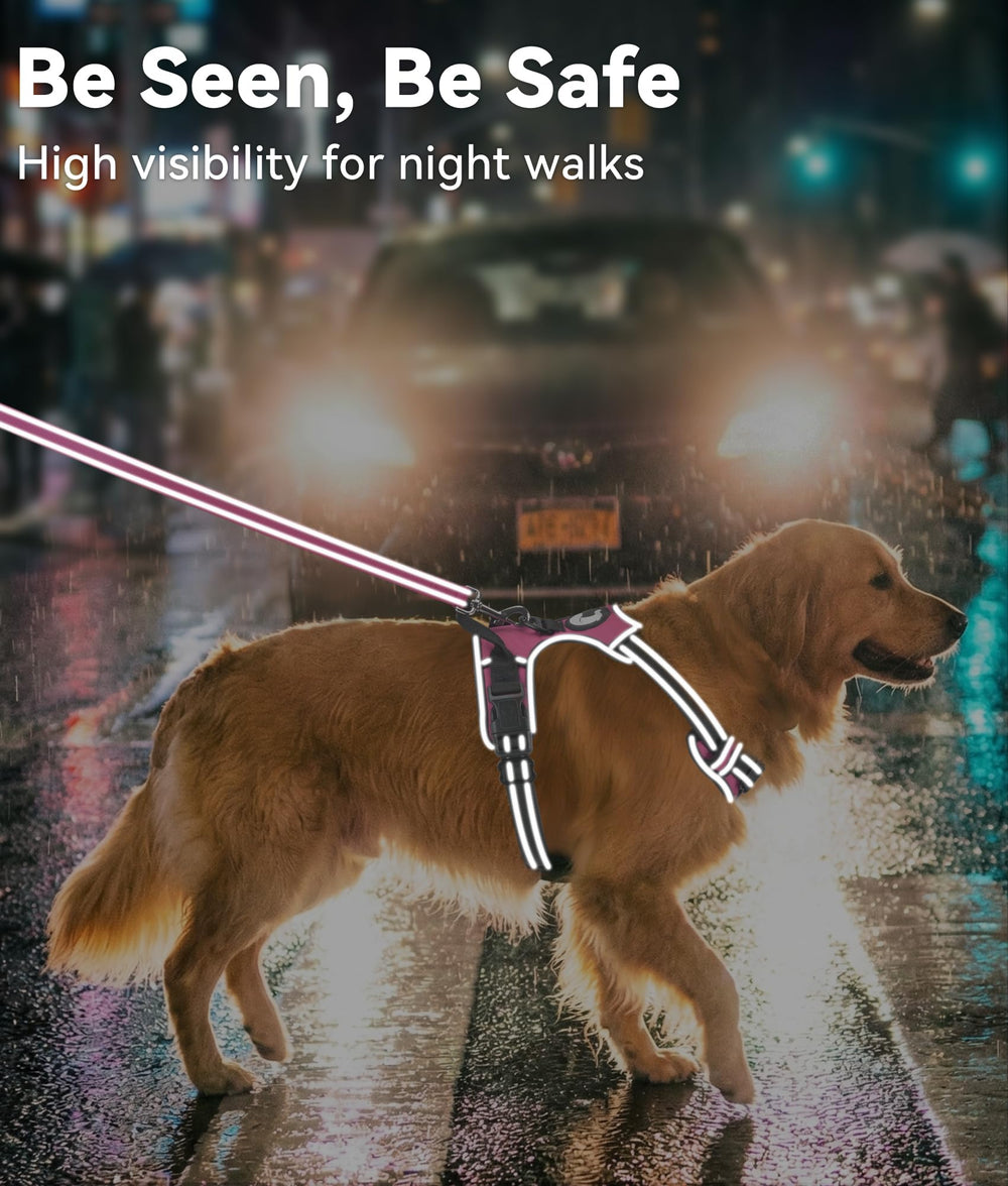 Joytale dog harness close-up of the widened traffic handle.