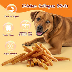 A dog chewing Jungle Calling Chicken Collagen Sticks.