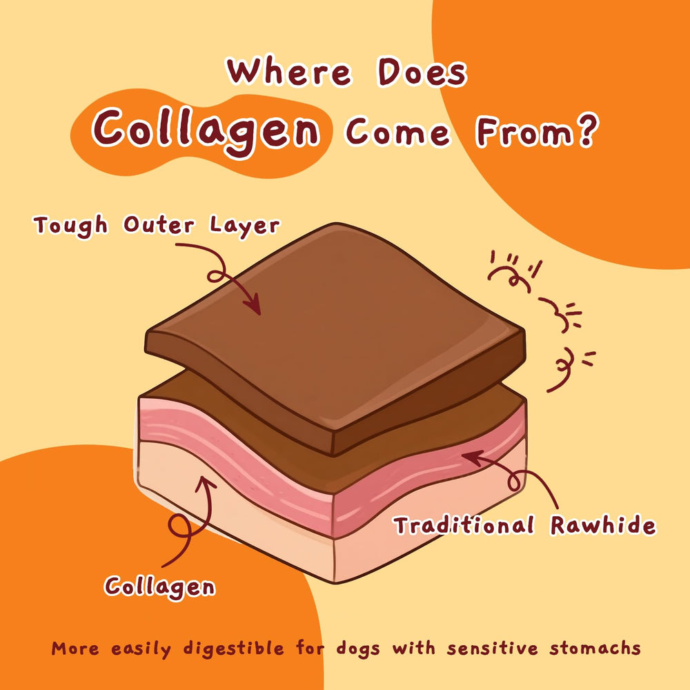 Jungle Calling Chicken Collagen Sticks offered as a training reward.