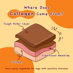 Jungle Calling Chicken Collagen Sticks offered as a training reward.