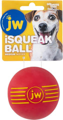 JW iSqueak dog ball close-up showing its rubber surface.