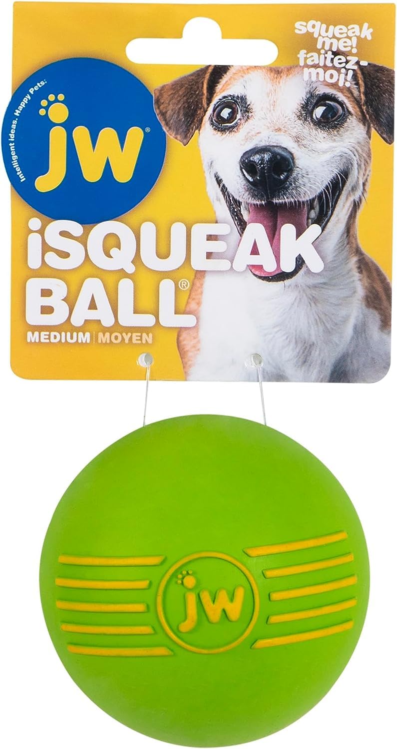 JW iSqueak dog ball detail focusing on the built-in squeaker.