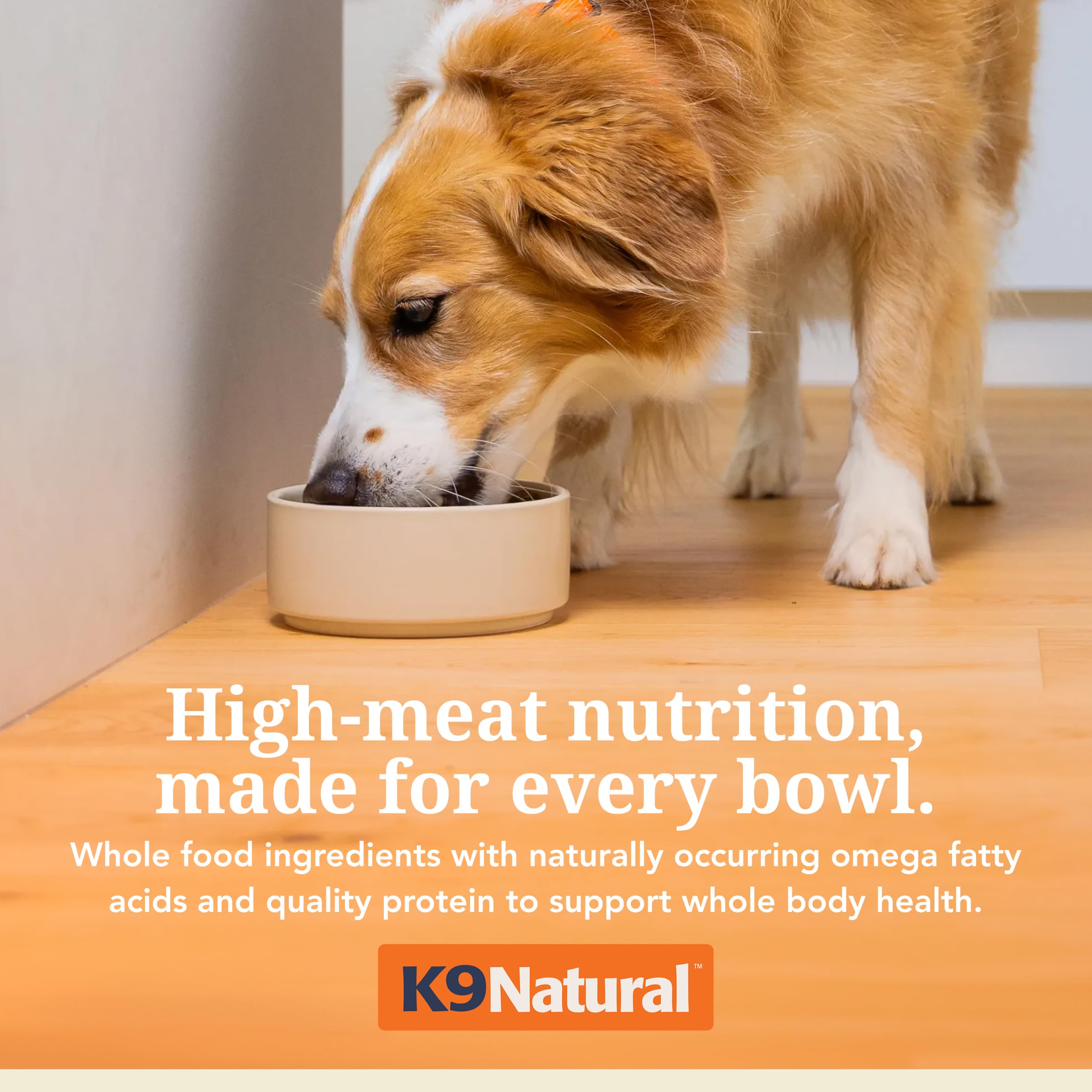 Close-up of the freeze-dried chicken food in K9 Natural dog food topper.