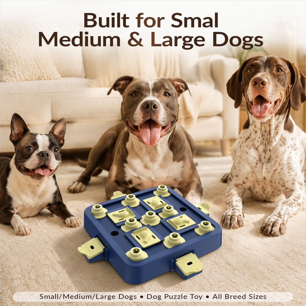 KADTC Dog Chess Puzzle Toy detail showing the drain holes for rinsing.