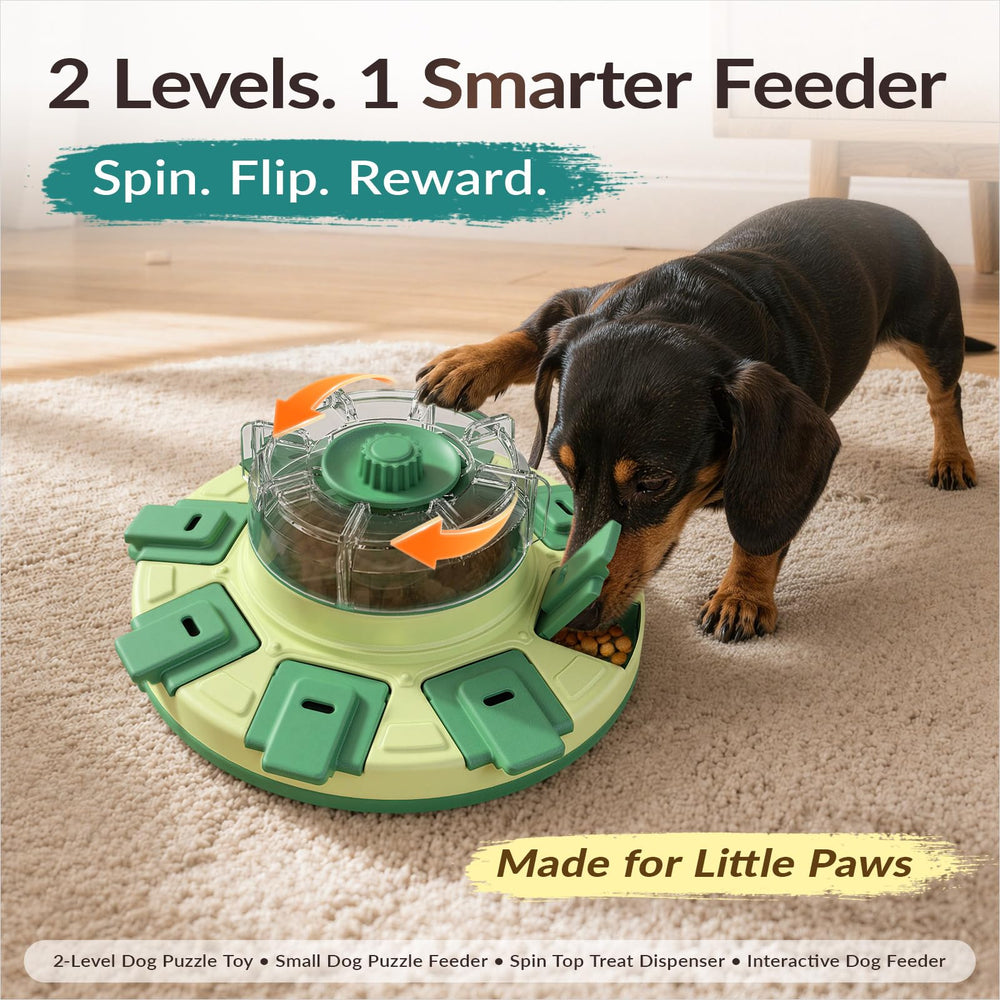 KADTC dog puzzle feeder viewed from above to show the play surface.