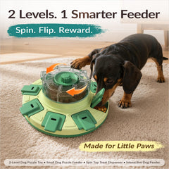 KADTC dog puzzle feeder viewed from above to show the play surface.