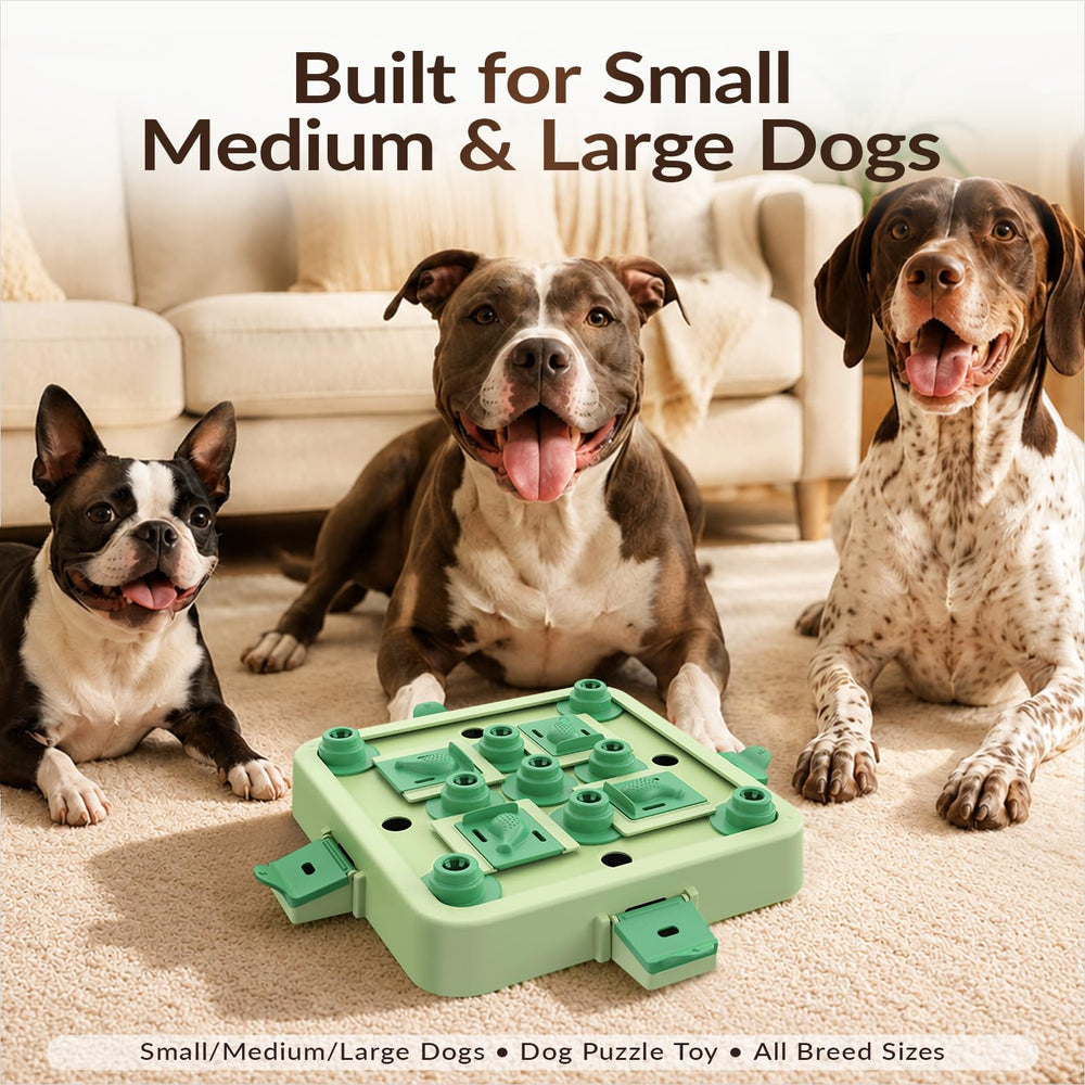 KADTC dog puzzle toy set up with kibble for a feeding activity.