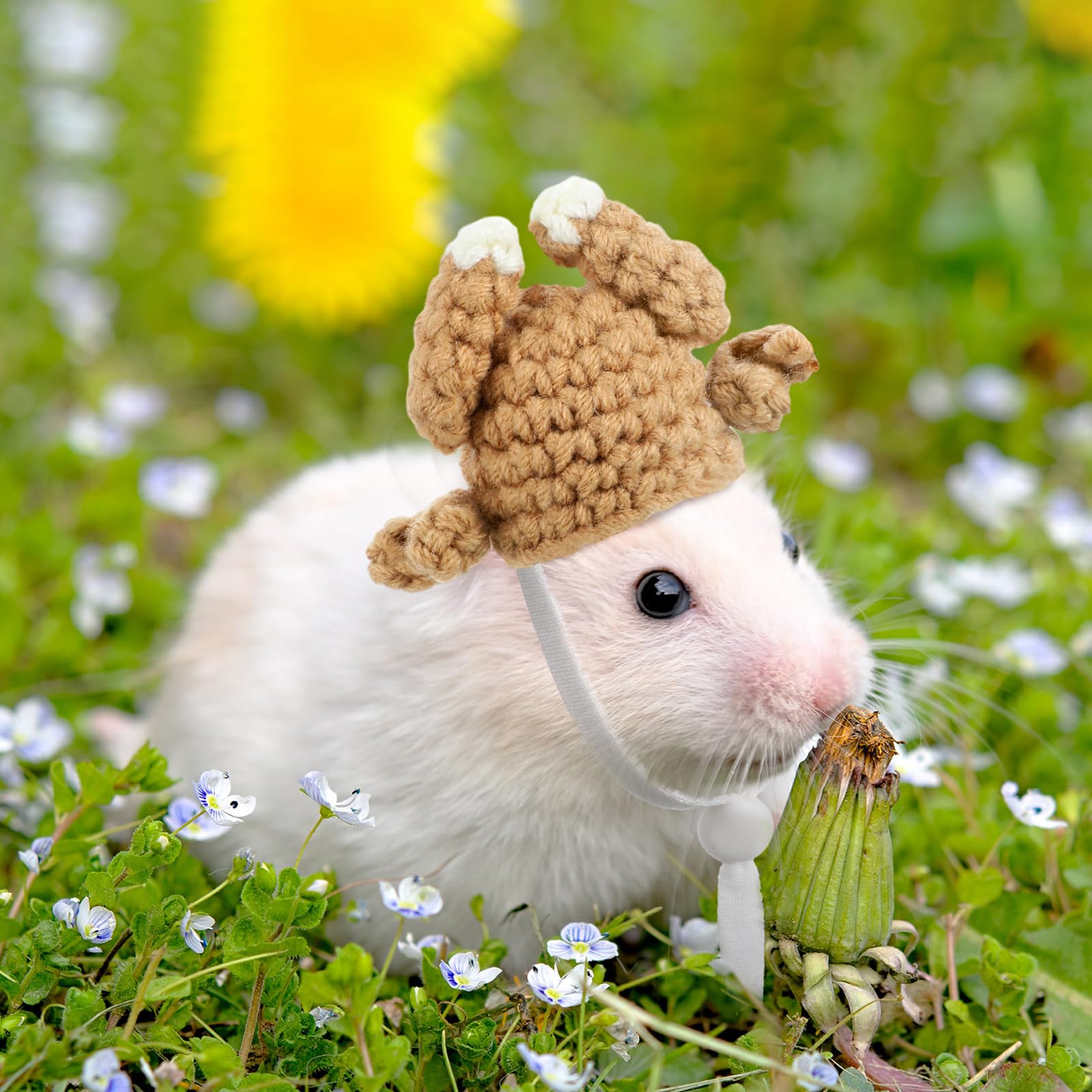 Kajaia mini pet hat in a pumpkin-inspired style.