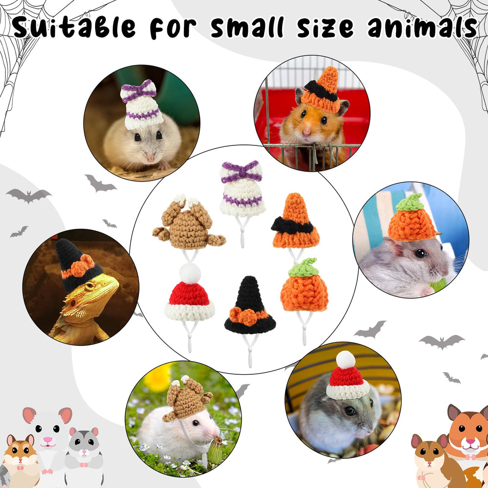Kajaia mini pet hats featuring black and orange witch designs.