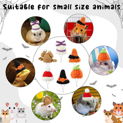Kajaia mini pet hats featuring black and orange witch designs.
